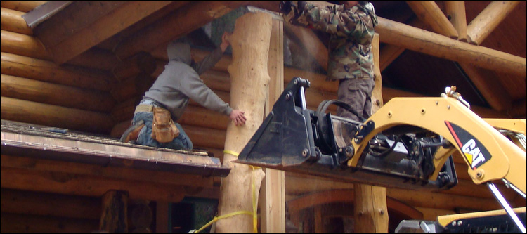 Log Home Log Replacement  Breathitt County, Kentucky
